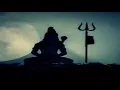 Beije, Pippi Ciez, Srinath Raghavan ─  Window To Shiva