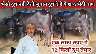 👍ये खोली झूठ के व्यापार की पोल, 35 साल के व्यापार मे सबसे बडा झूठ यूग, मात्र एक लाख मे 12 किलों दूध👌