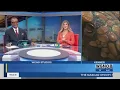 Baby Dinosaurs at Pontchartrain Center in Kenner