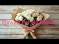 Flowers For No Reason (Lyrics Video)