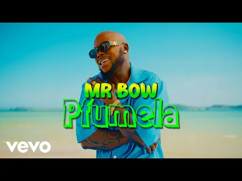 Download MP3 Mr. Bow - Pfumela (Official Music Video)
