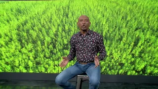 LET S BE BLUNT WITH MONTEL