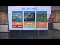 Pollen count on the rise in Georgia