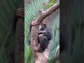 The Science of Evolution in 30 Seconds