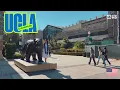 UCLA Campus - Walking Tour 4K 2025