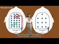 01 what is learning 01 introduction to focused and diffuse modes 01 1 1 introduction to the focused