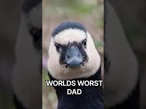 The worlds worst parent is a bird