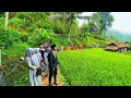 Download Lagu MASYA ALLAH😍 SUASANA PERNIKAHAN SUNDA DI KAMPUNG INDAH | HAJATAN DI PEDESAAN JAWA BARAT INDONESIA
