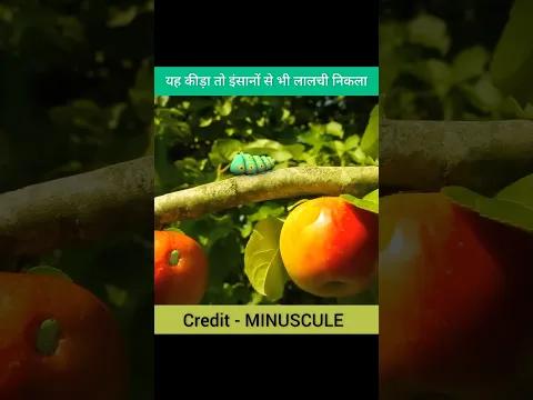 यह कीड़ा तो इंसानों से भी लालची निकला 😱 #shorts @MRINDIANHACKER @CrazyXYZ