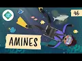 Amines Crash Course Organic Chemistry