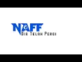 Download Lagu Naff - Dia Telah Pergi - Lirik