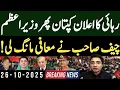 Lagu رہائی کا اعلان کپتان پھر وزیراعظم || چیف صاحب نے معافی مانگ لی! || Ahmed Fawad Vlog