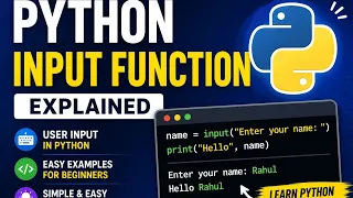 Python input Function with Real Examples User input function