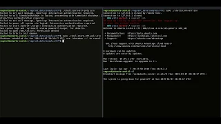 Testing polymorphic shellcode payloads