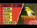Masteran Pleci Komplit Full Variasi Berkelas Sultan !!! Isian Mewah