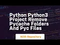 Python python3 project remove pycache folders and pyc files