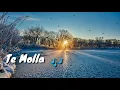 Te Molla (girl cover) 2020 /Sahabat Musik