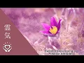 Download Lagu Reiki for Developing a Positive Mental Attitude | Energy Healing