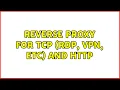 Reverse Proxy for TCP RDP VPN etc and HTTP