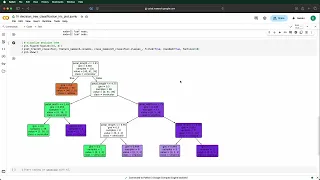 19 Decision Tree Classification Plot IRIS Notebook Python