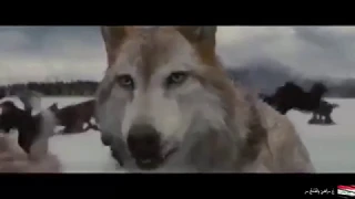 اروع انشودة شيعية عن فيلم The Twilight Saga Breaking Dawn 