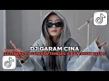 Lagu DJ GARAM CINA VIRAL TIKTOK! DJ TEBANG FT DJ PANDA