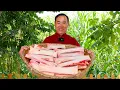 Download Lagu Menyantap 15 kilo sumsum sapi panggang arang – begitu memuaskan! | Paman Land Gourmet