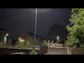 Bat fluttering around a streetlight
