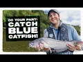 How to Catch Blue Catfish in Virginia s Tidal Rivers