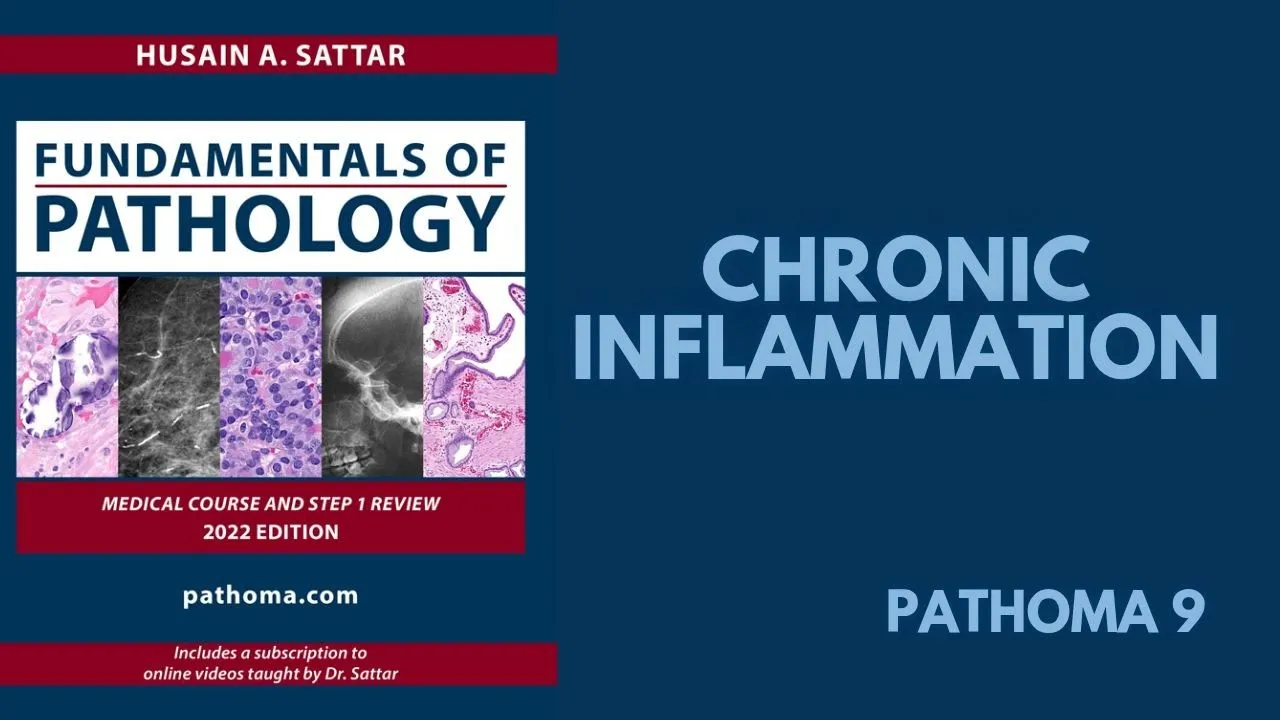 Chronic Inflammation ( Pathoma by Awad ) 9