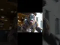 Download Lagu #bigfoot #tiktok #vlog #yeti #funny #memes