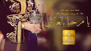 افخم شيلات ترحيب بالضيوف 2023 يا مرحبا بالغالين ويامرحبا بالي لفونا مهنين شيلة ترحيب بدون اسم 2023 