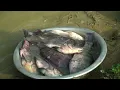 Traditional Mountain Smoked Fish – Simple Village Life with Nick, Thu & Kiem