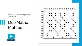 Dot Matrix Method in Bioinformatics Dot Plot Sequence alignment