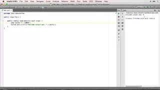 Java Developer Course - The Char and Boolean Primitive Types
