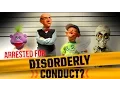Arrested for Disorderly Conduct JEFF DUNHAM