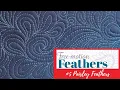 Feathers Borders Blocks Backgrounds Week 5 Paisley Feathers Any Machine