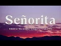 Shawn Mendes, Camila Cabello - Señorita (Lyrics) Letra