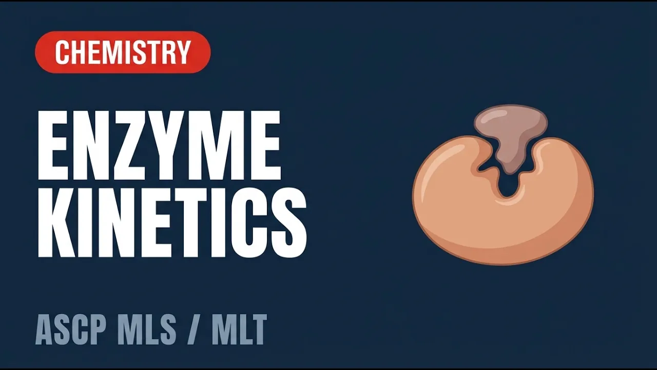 ASCP - MLS - MLT - Chemistry - Introduction to serum enzymes