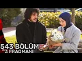 Download Lagu Esaret. Плен 543 серия. Орхун прогнал Эйлюль! Esaret 543 bölüm.