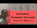 Chromosome Chromatin and Chromatids - What is the Difference