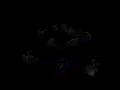 2 185 second footage of naic s brother who likes exactly like naic being left in the dust