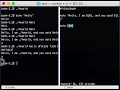 Introduction to Bash Shell Scripting - Conditionals Loops Arguments More