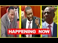 Download Lagu LIVE SENATE - Heated Session as Senators Debate Ruto Recommendations to Bills