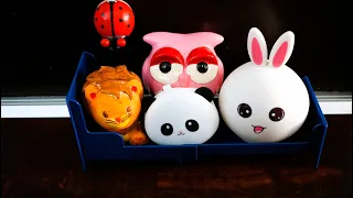 Animals Jumping on the beds fast & slow edition