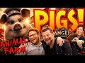 HOLLYWOOD IS LAUGHING - Angel Studios NUKED Their Reputation After Calling Fans Pigs
