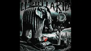 Lirili Larila Funk Fyp Funk Meme Viraltiktok 