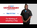 Dog Adoption Tips and Advice PetSmart Veterinary Services