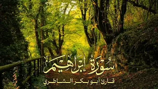 سورة ابراهيم قارئ أبو بكر الشاطري 