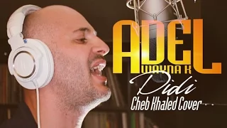                                      دندنها